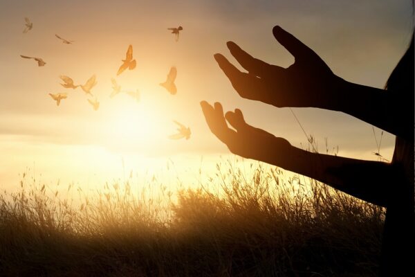 健康管理の秋？秋の豆知識をご紹介いたします！